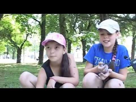 Информационный выпуск Майкопского телевидения 29.06.2017 г.