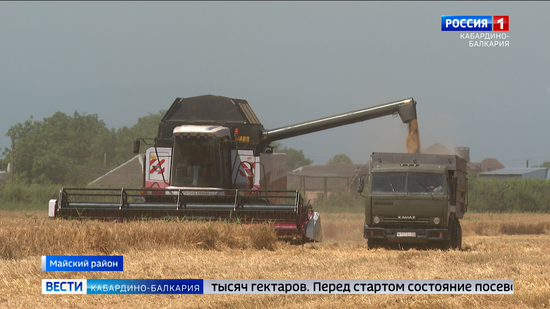 В степных районах КБР началась жатва озимых зерновых
