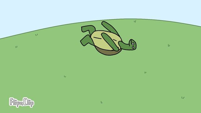 черепаха делает сальто