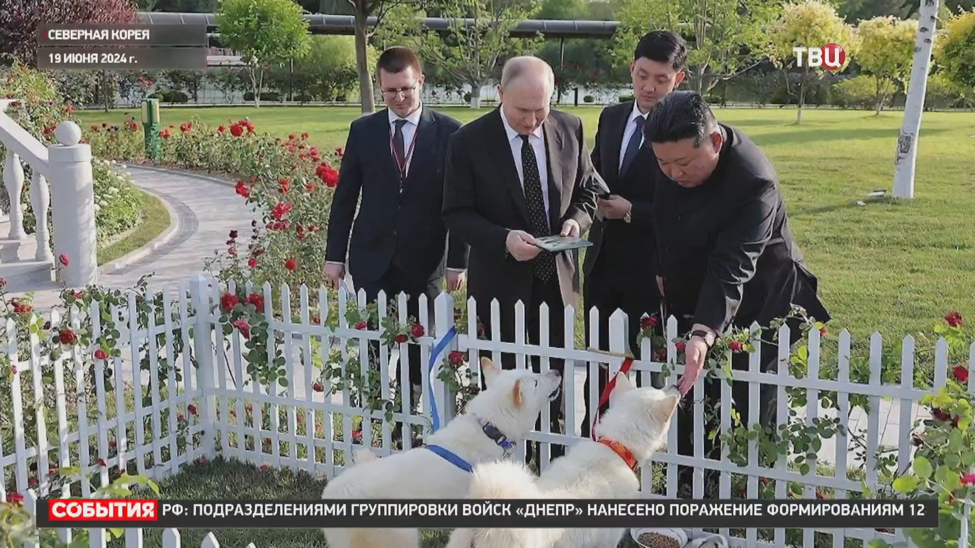 Ким Чен Ын подарил Путину двух собак уникальной породы / События на ТВЦ