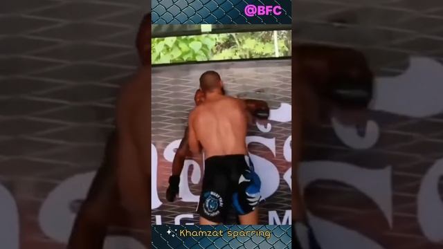 У всех разная работа! Хамзат Чимаев