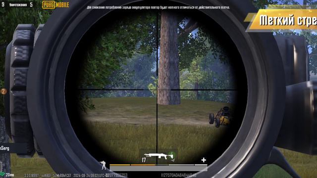 2.mp4