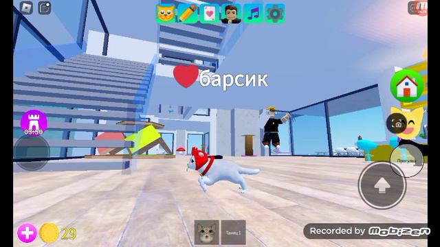 делаем новова кота в Roblox