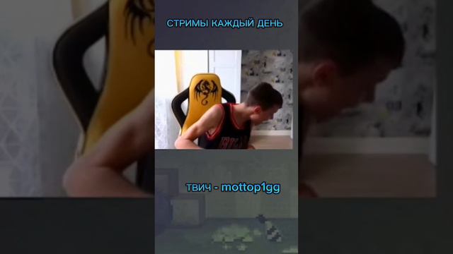 ТВИЧ - mottop1gg