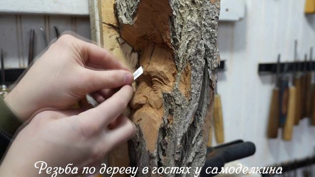 Резьба по дереву - анфас лица человека на коре дерева