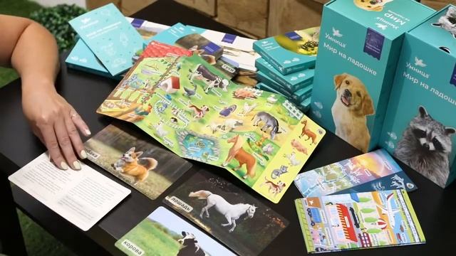 Умница. Мир на ладошке  игра для малышей от 3 лет и старше