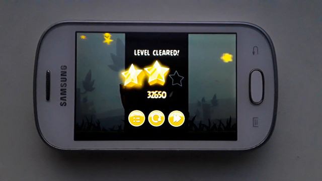 Angry Birds on Samsung Galaxy Fame Lite GT-S6790