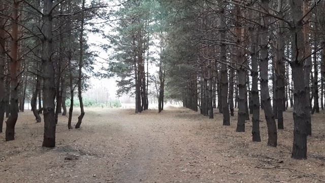 Псалом об исцелении