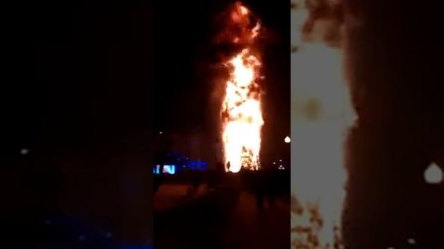 Вот так сгорела ёлочка после слов деда мороза ёлочка зажгись!