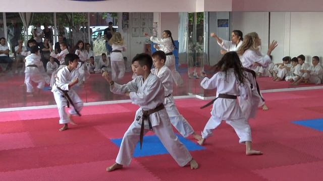 SHOTOKAN KARATE BLACK BELT - PATRA GREECE - 2018  (4K)