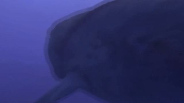 вымершие монстры прошедших эпох