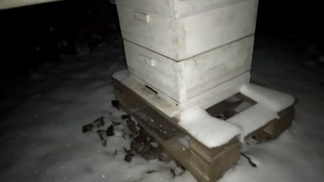 На севере Крыма минус 18.Контроль зимовки пчел без вскрытия улья.