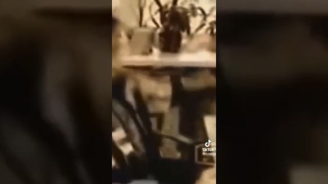 имя лера