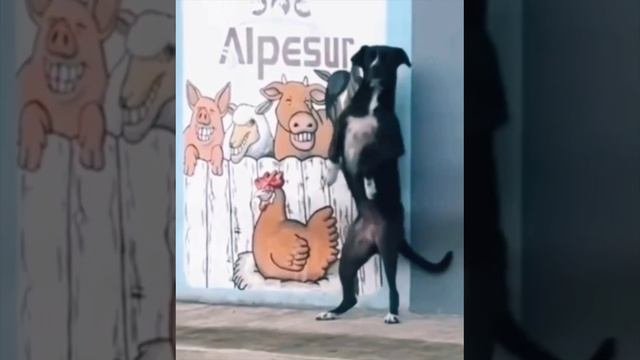 прикол