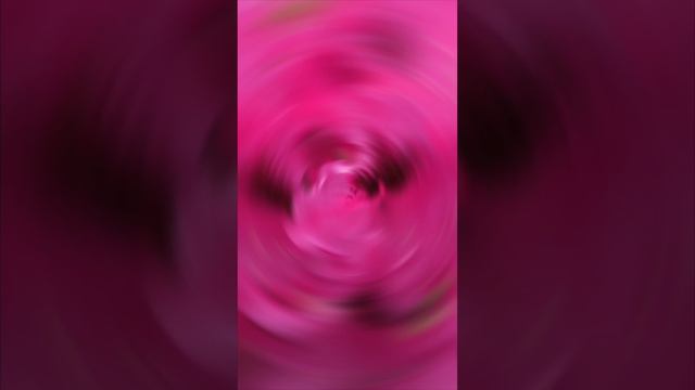 Цветочки - золотые тычинки, яркие лепесточки.