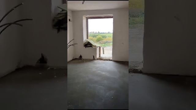VID 20231002 Любимый дом Осанов пр
