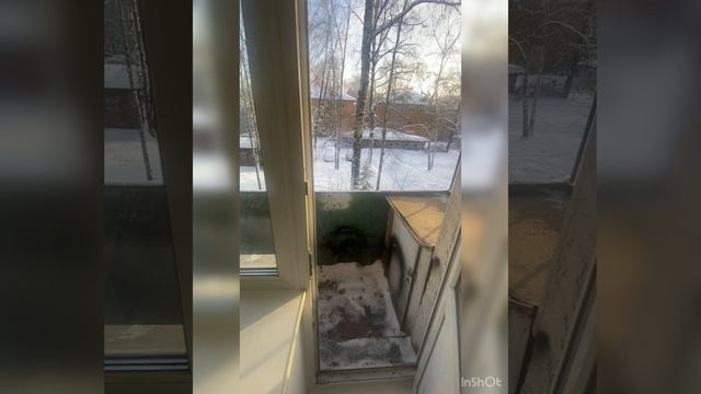 Квартира на Чехова 11