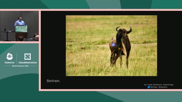 A Safari of Kubernetes and its Natural Habitat - Noah Abrahams, StormForge
