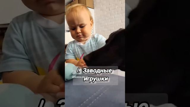Бесячее игрушки для собак))