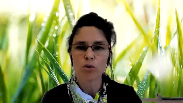 O Medo: Comportamento Adquirido