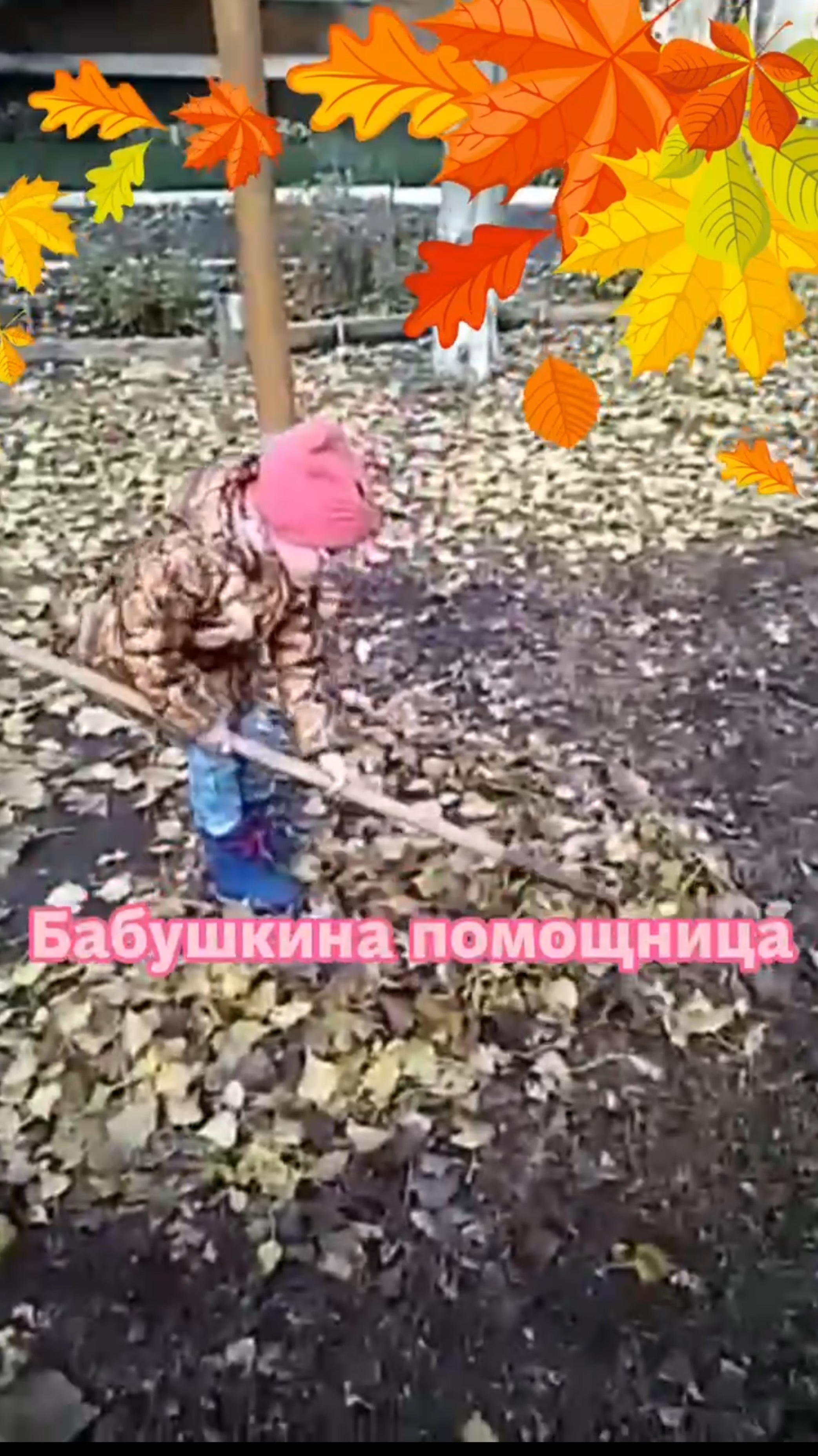 Бабушкина помощница