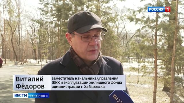 Мусорные залежи в Хабаровске