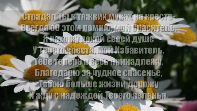 Гимны Надежды 94 Тебе пою, мой дивный Иисус (минус)