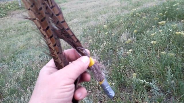 Приспособа для поиска.