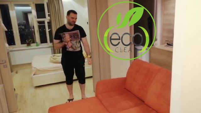 Выведение кошачьей мочи с дивана