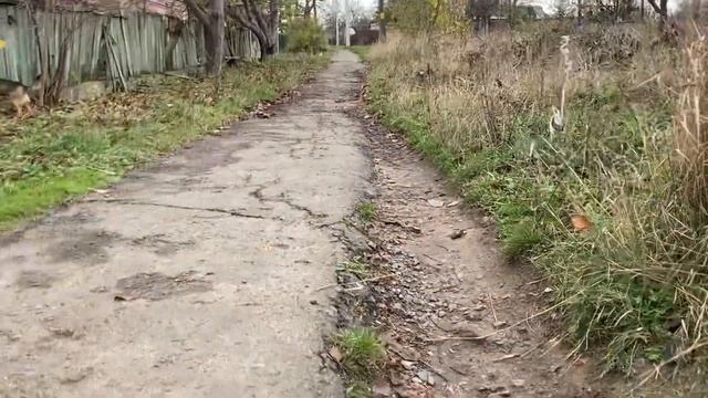 Кто будет отвечать❓Первомайск Николаевская область ВОЛОНТЁРЫ и их СОБАКИ