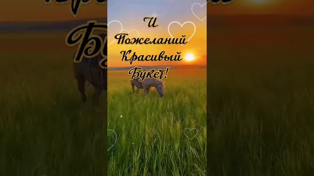 ДОБРЫЙ ВЕЧЕР! 🤗🤗🤗 06.08.2024г. Теплоты, любви, счастья всем этим вечером! 🥰🥰🥰