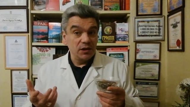 Лечение семенами льна: легенды про семена льна помогают лечить семенами льна правильно!