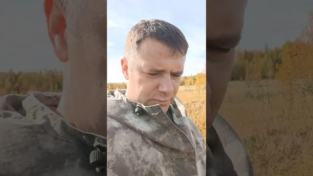 Между делом....
