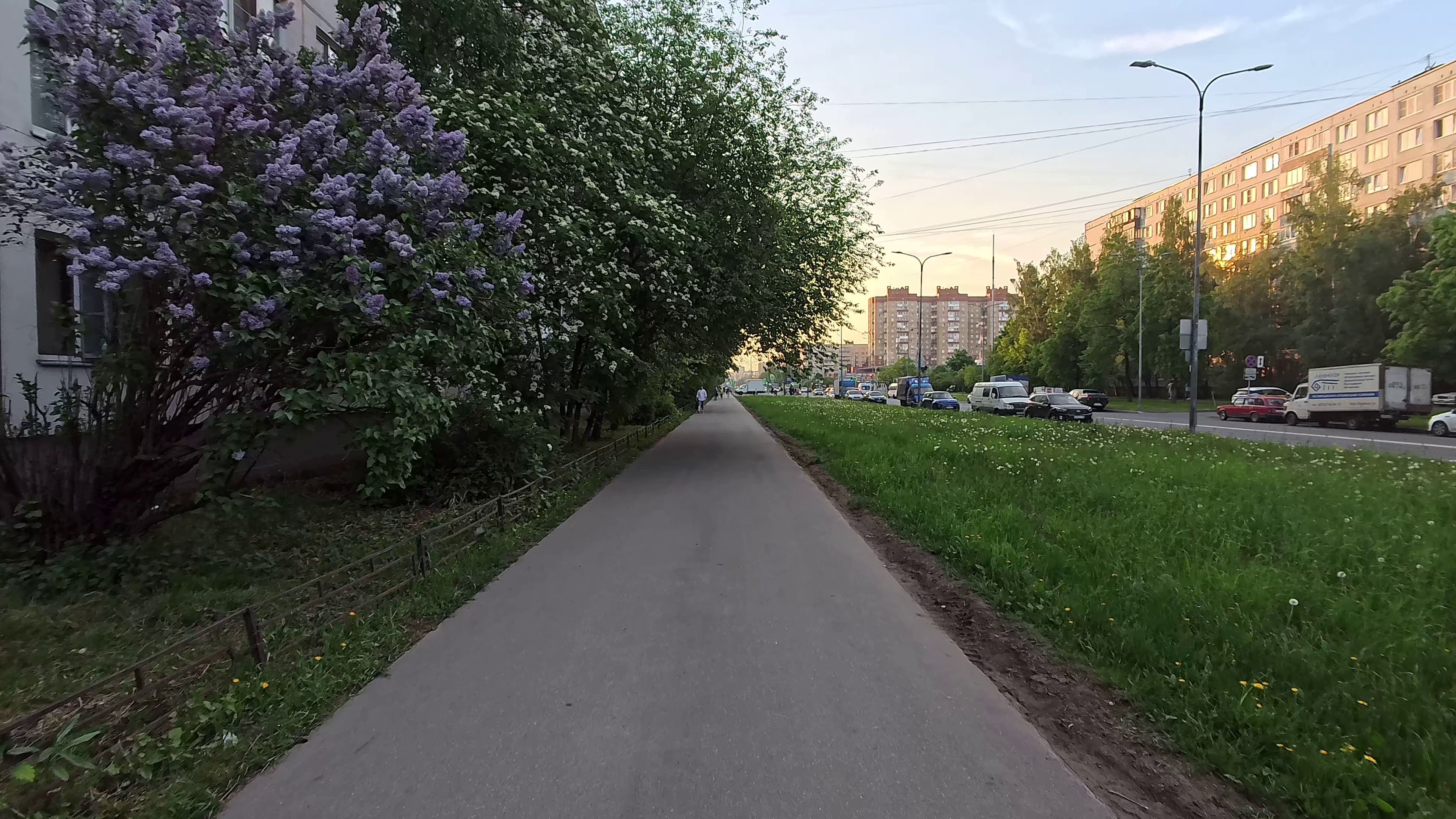 Вечерняя прогулка по Искровскому проспекту. Май 2024.
