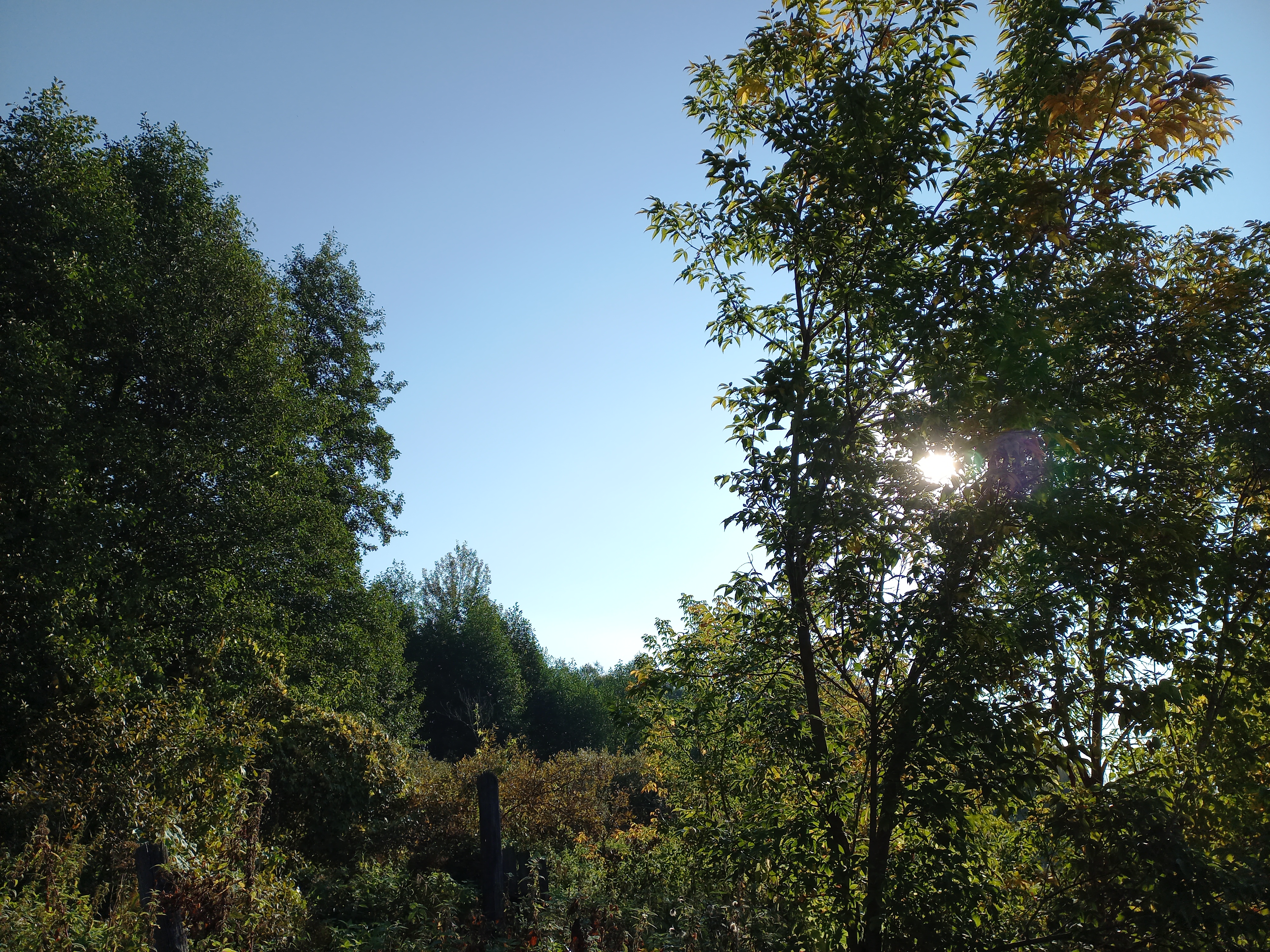 наши владения...