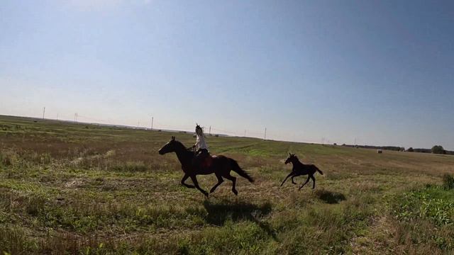 Свободааа.🌾🦅