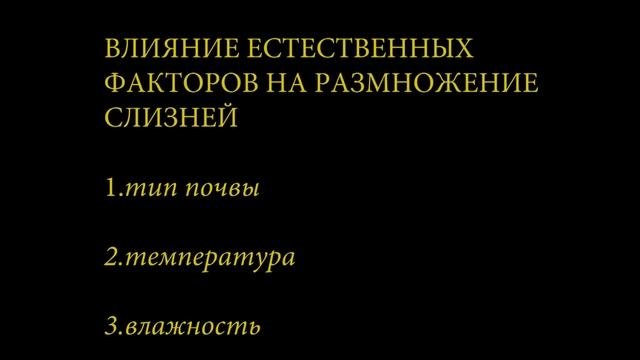 СЛИЗНИ.Мой опыт и советы из интернета.Почему неэффективны многие из них.