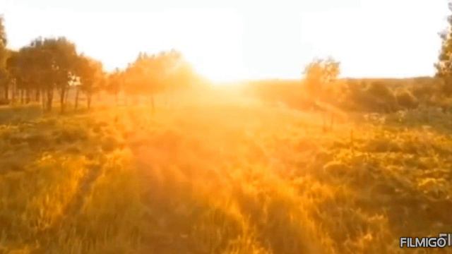 Свои мечты