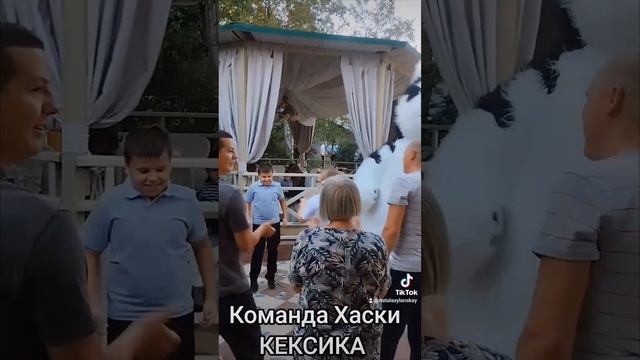 Команда Хаски КЕКСИКА