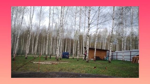Тренировка по хх/Хоббихорсинг/ дача/Ржач/