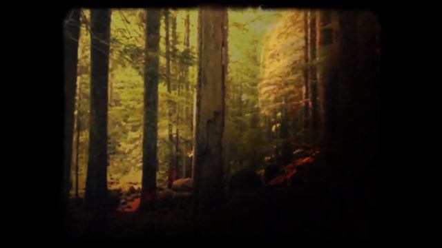 COMING SOON - Andras is back