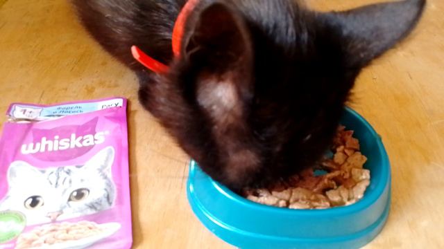 "whiskas" корм для кошек-форель и лосось-рагу.