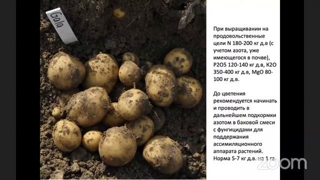 Вебинар журнала «Картофельная система»
