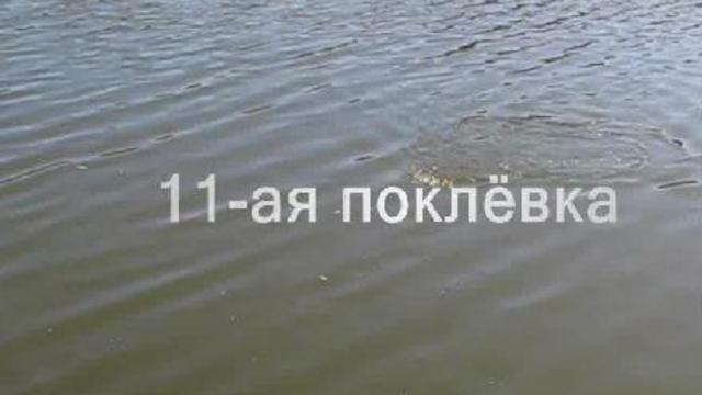 фильм 2 (часть 2) Рыбалка "В августе 2009-го..."