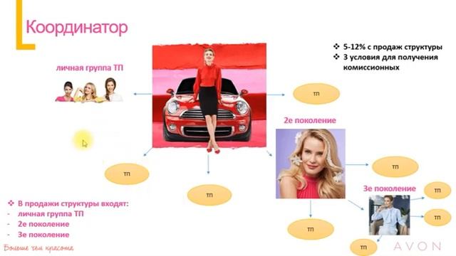 О работе координатора AVON