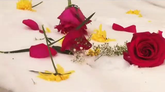 БФК "Букет"