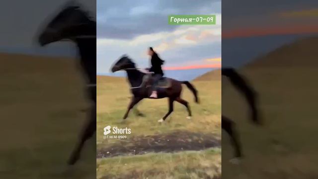 Карачаевки-Балкарки искустные наездницы верхом на Карачаево-Балкарских лошадях. #fashion