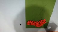 Кисть рябины из пластилина