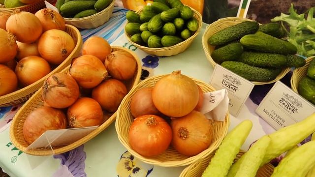ПланетаАгро Новогодний выпуск: интервью с партнерами  и вкусные сырные истории.