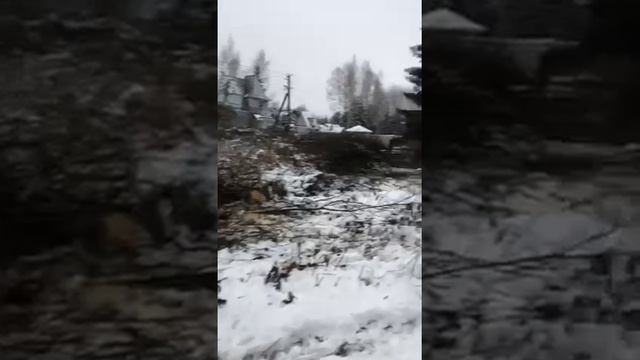 расчистка участка от деревьев и кустарников
